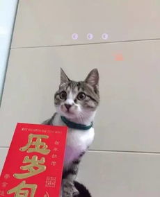 红包里装着冥币广东师奶大年初一收到闺蜜的大红包,里面装着一沓冥币