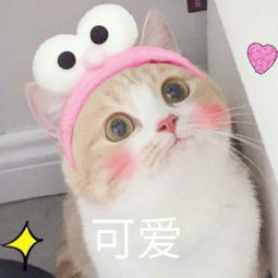 留言上墙食堂阿姨都是妈