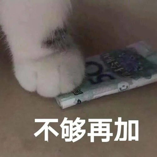 近期热图表情精选