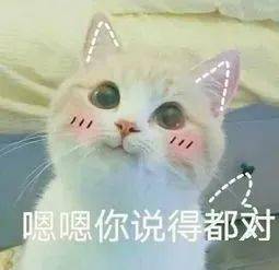 牛佛山9名考生成绩被屏蔽志愿填报25日开启