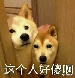 丈夫常年在外,女子家门口意外捡到俩插排,竟暗藏着偷窥器