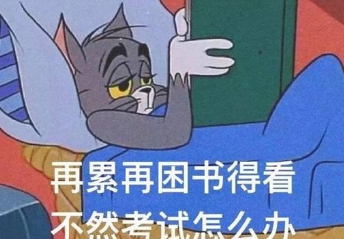 高考和考研谁更难5张图完美诠释,网友好笑又心疼