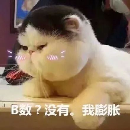 15个职场扎心瞬间,你被扎了几次