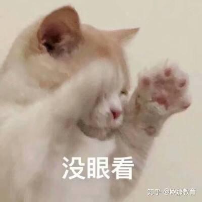 如何评价蒙面舞王第十期
