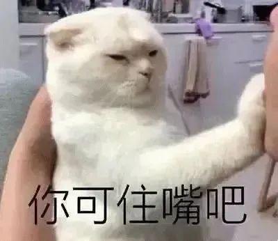 你不也没睡表情包天亮了