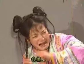 要生活费表情包视频还珠格格
