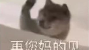ω看看就行高校139层