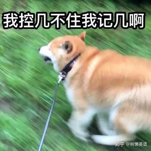 五官英文表达