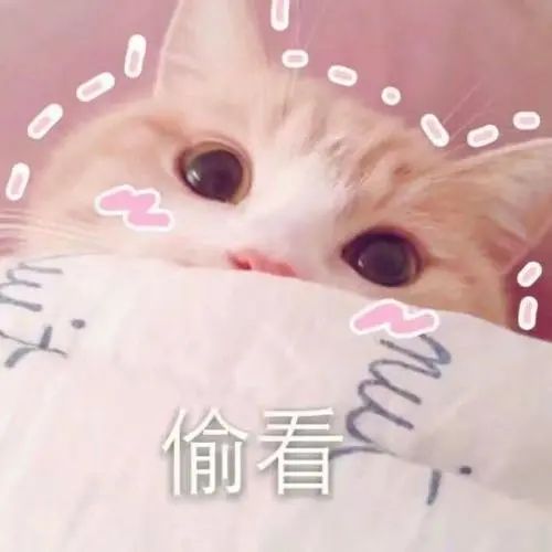furla新联名,甜美可妮兔呆萌布朗熊