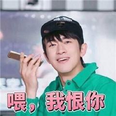 林更新我恨表情包图片最新,林更新表情包我恨系列