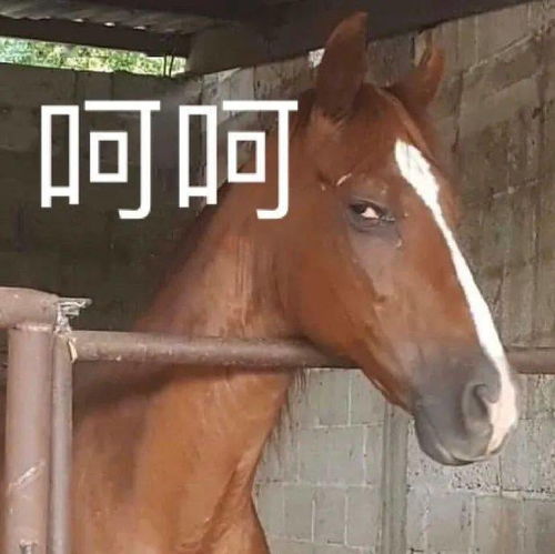 当代话术词典