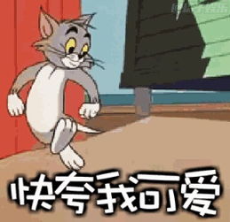 猫和老鼠中杰瑞表情包