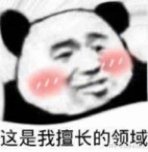 大一法学生有必要出去实习吗