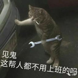 复仇者联盟4昨日开始预售,截至今日14点25分,预售票房已达1.13亿,一张票近300块,还被抢空影城