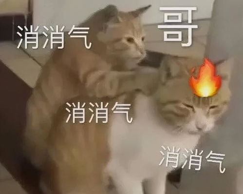 大姨妈太多,容易气血虚身体弱,送上我的解决秘方