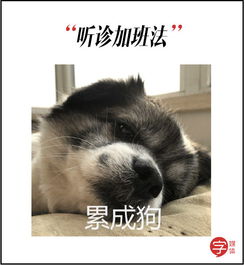 这几天北京雾霾非常给力,拼命博出位