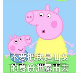 h收藏夹