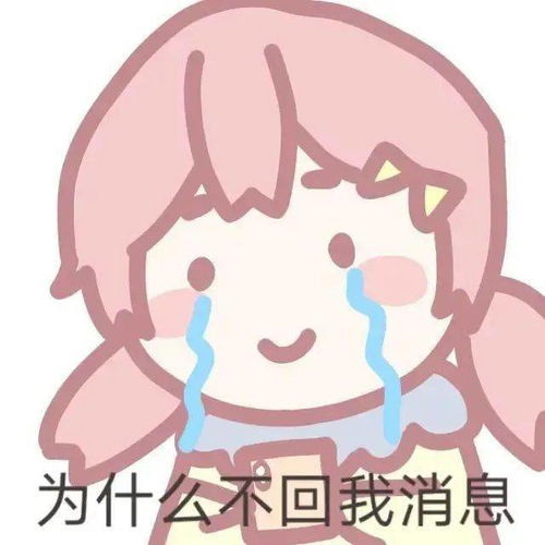 每日沙雕表情包
