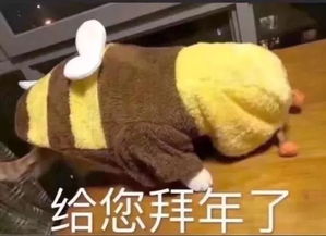 搞笑春节拜年表情包