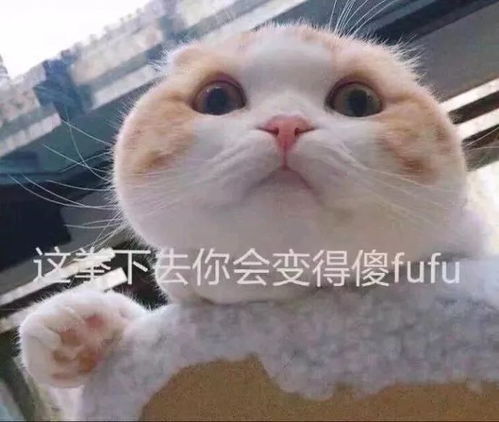 哈哈哈哈对象做的爱心料理,哭着也吃不下去啊