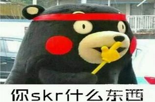 熊本熊热skr人系列qq表情包熊本熊skr系列表情素材v1.0官方版软件下载