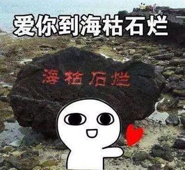 雨雨雨雨雨雨.冰雹冷冷冷冷冷接下来半个月,大家要挺住了