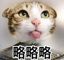 爆笑段子我不嫌你胖,要不咱俩处呗