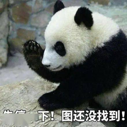 对象要找性格相似还是互补的