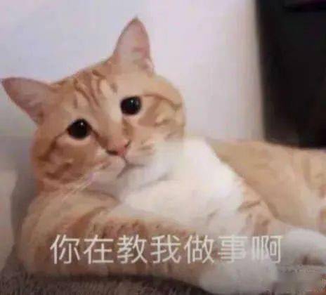 周末日报马国明新女友为黄心颖闺蜜郑秀文支持许志安复出蓝盈莹澄清与李现绯闻