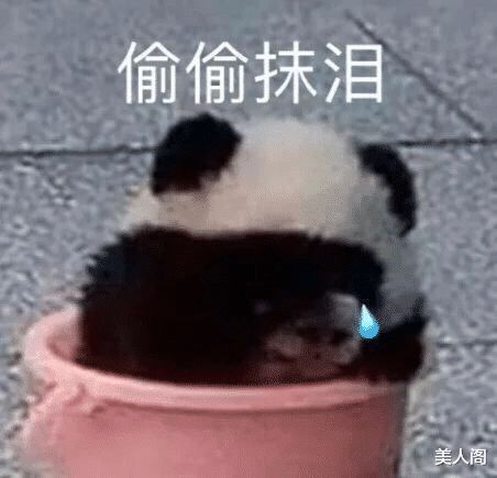 沙雕网友们分享被骗经历,智商税交得不少啊哈哈