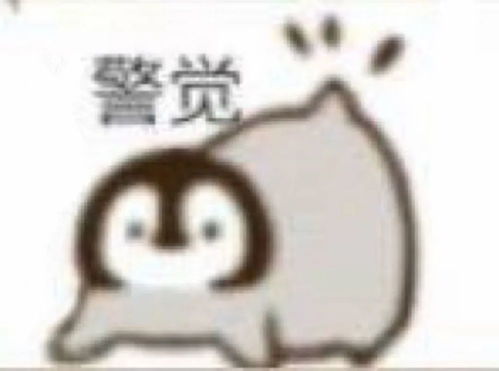 可爱猫猫狗狗萌宠表情包
