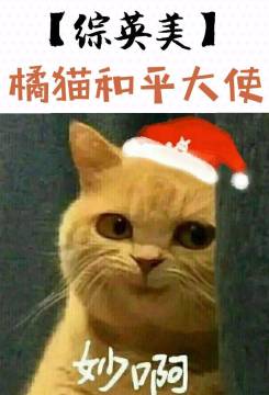 橘猫和平大使是小星星呀