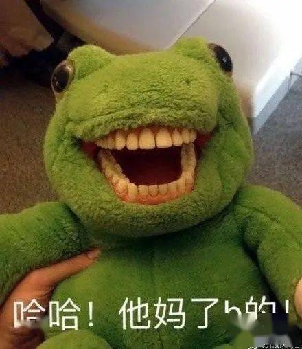 鱼也需要看牙医英国大爷的宠物河豚吃不下饭,居然是要整牙