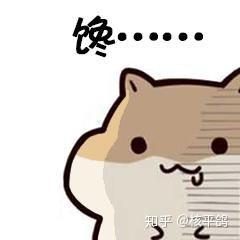你有哪些可爱的小仓鼠表情包
