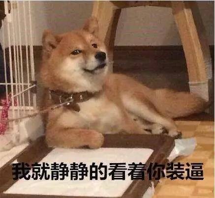 看得懂这8张图,你才算真正去过亚宠展