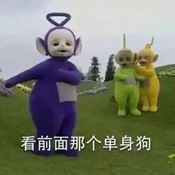 二期逗比寝室文化交流会