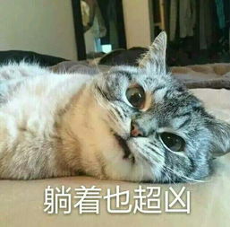 有哪些可爱的表情包