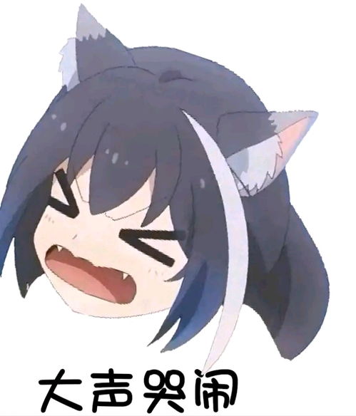 哔哩哔哩专栏