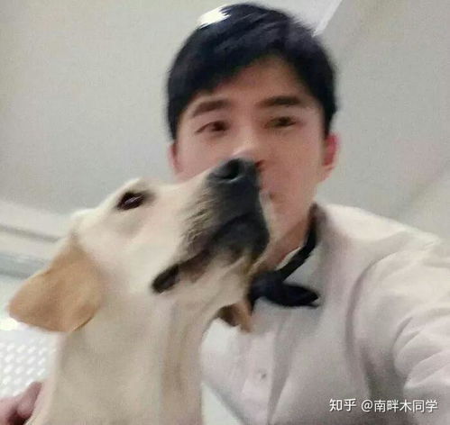 猴子图片搞笑表情包刘昊然