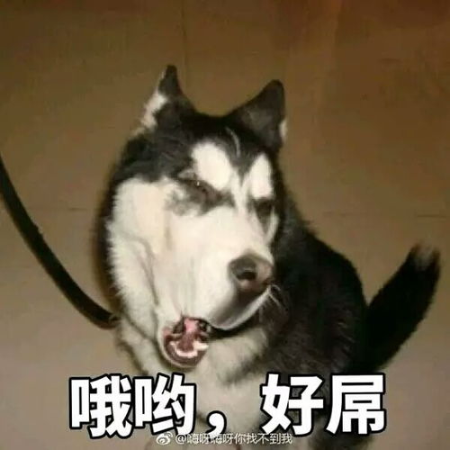 最近超级想学习