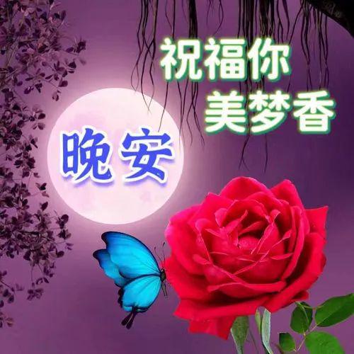 晚上好动态带字图片晚安图片表情包