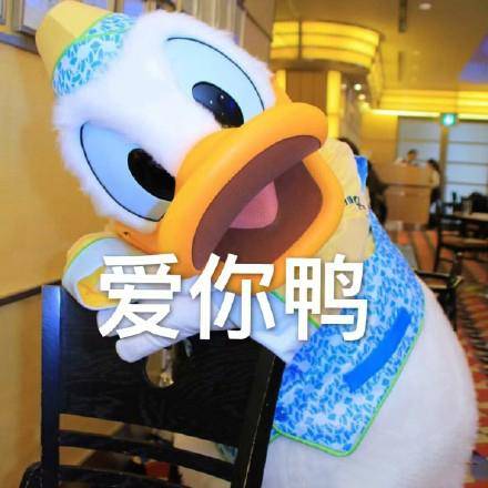唐老鸭表情包大全54p