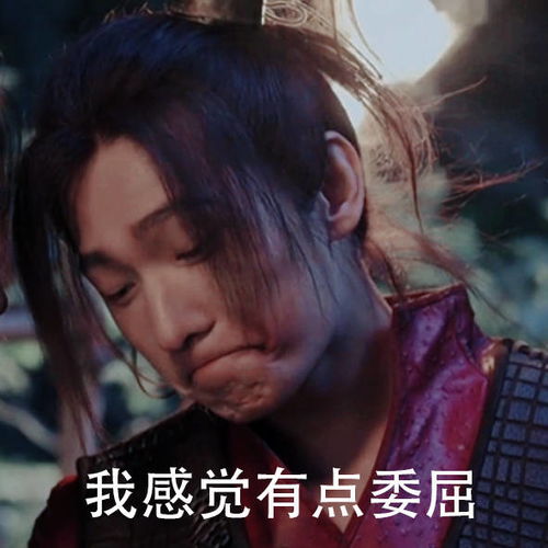 委屈的表情包无文字张艺凡