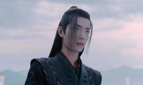 陈情令魏无羡替蓝湛挡酒,读弟机蓝曦臣的表情很耐人寻味