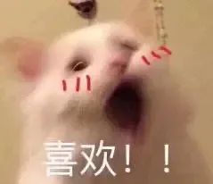 这就是爱情表情包是爱情