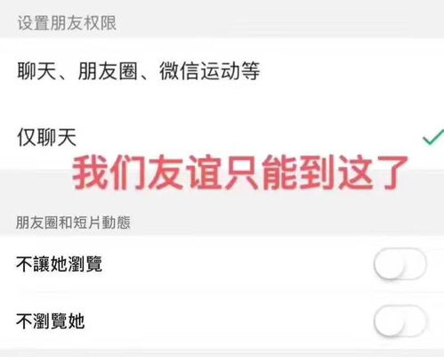 玩疯了微信新功能上线网友朋友圈斗起来.gif
