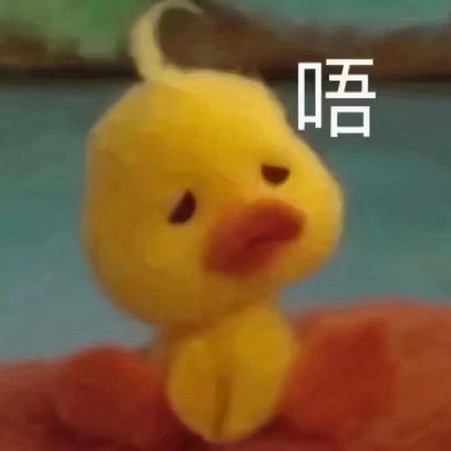 网红鸭子表情包动图鸭鸭