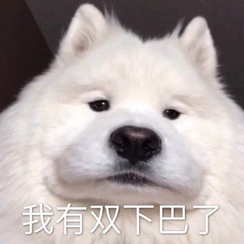开开心心