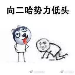 哈士奇微博表情包秋田犬
