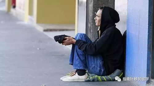 新州政府鼓励企业雇佣留学生早该这样了